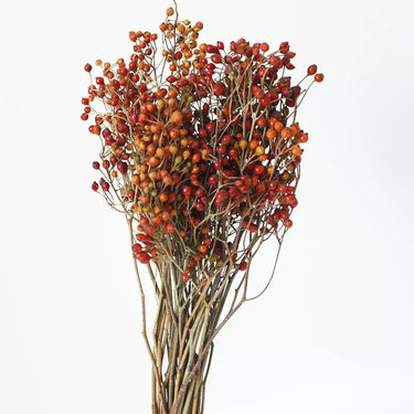 dried rosehips
