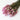 celosia flowers (flamingo feather), dried, natural pale pink, 55cm