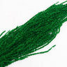 green amaranthus