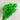 green asparagus fern