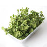 preserved hydrangea petal, green, 8g