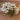 Short Stems of Dried Baby's Breath Crafting Box, Natural Dried, 50 Stems