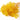 gypsophila yellow