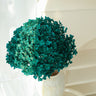 hydrangea emerald green