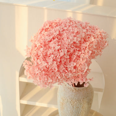 hydrangea pink