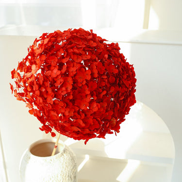 hydrangea red