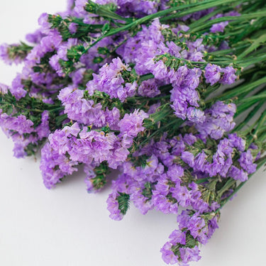 Preserved Forget me not flower, Lilac, 120g