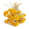 lona, dried, natural yellow