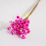 magenta glixia flower