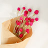 Gomphrena Flower, Preserved, Magenta