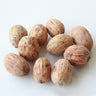 mangifera indica (mango)