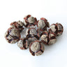 metasequoia fruit