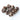 metasequoia fruit