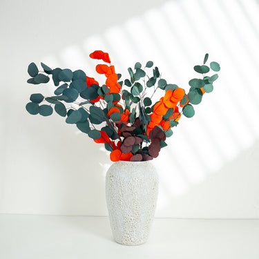 mixed colour eucalyptus cinerea