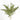 False Staghorn Fern Bush, Dried, Natural Green, 5 Stems, 60CM