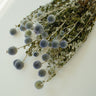 natural dried thistle