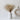 Fluffy Soft Pampas Grass, Natural Brown, 50cm