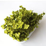 preserved hydrangea petal, olive green, 8g