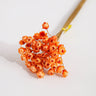 orange glixia flower
