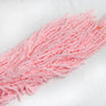 pink amaranthus