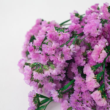 Preserved Forget me not flower, Pink, 120g