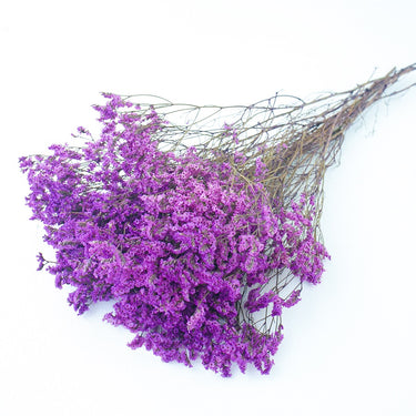purple limonium