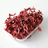 preserved hydrangea petal, red, 8g