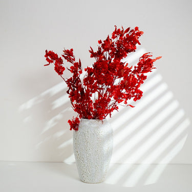red preserved dodonaea viscosa