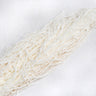 white amaranthus