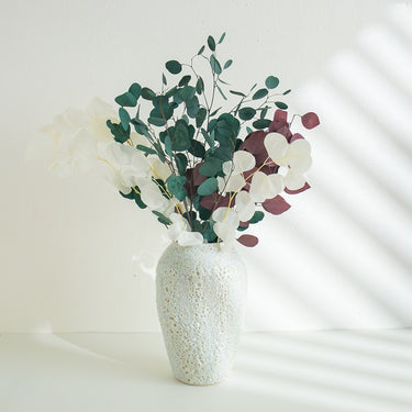 white and green eucalyptus cinerea