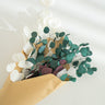 white and green eucalyptus cinerea