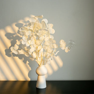 white bleached eucalyptus cinerea