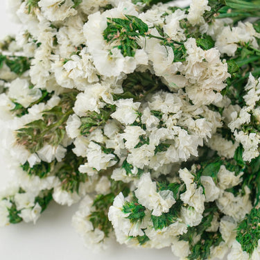 Preserved Forget me not flower, White, 120g