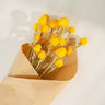 Gomphrena Flower, Preserved, Yellow