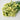 Preserved Forget me not flower, Yellow, 120g