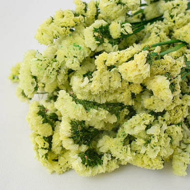Preserved Forget me not flower, Yellow, 120g
